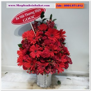 Hoa Tươi Tặng Khai Trương - OK99
